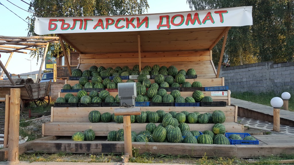 Сладки домати в Кв. Драгалевци 14.07.2016 сн- Андрей Велчев