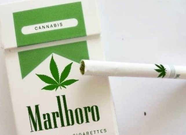 Малборо легално продават марихуана с лого