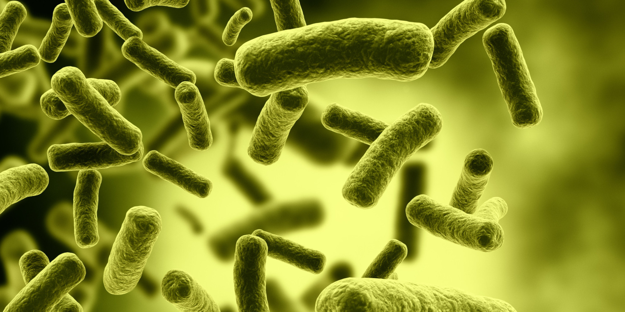 Учени: Религиите са причинени от бактерии