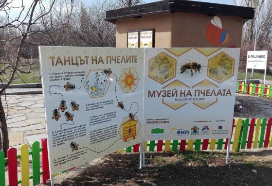Музей на пчелата отвори врати… в София