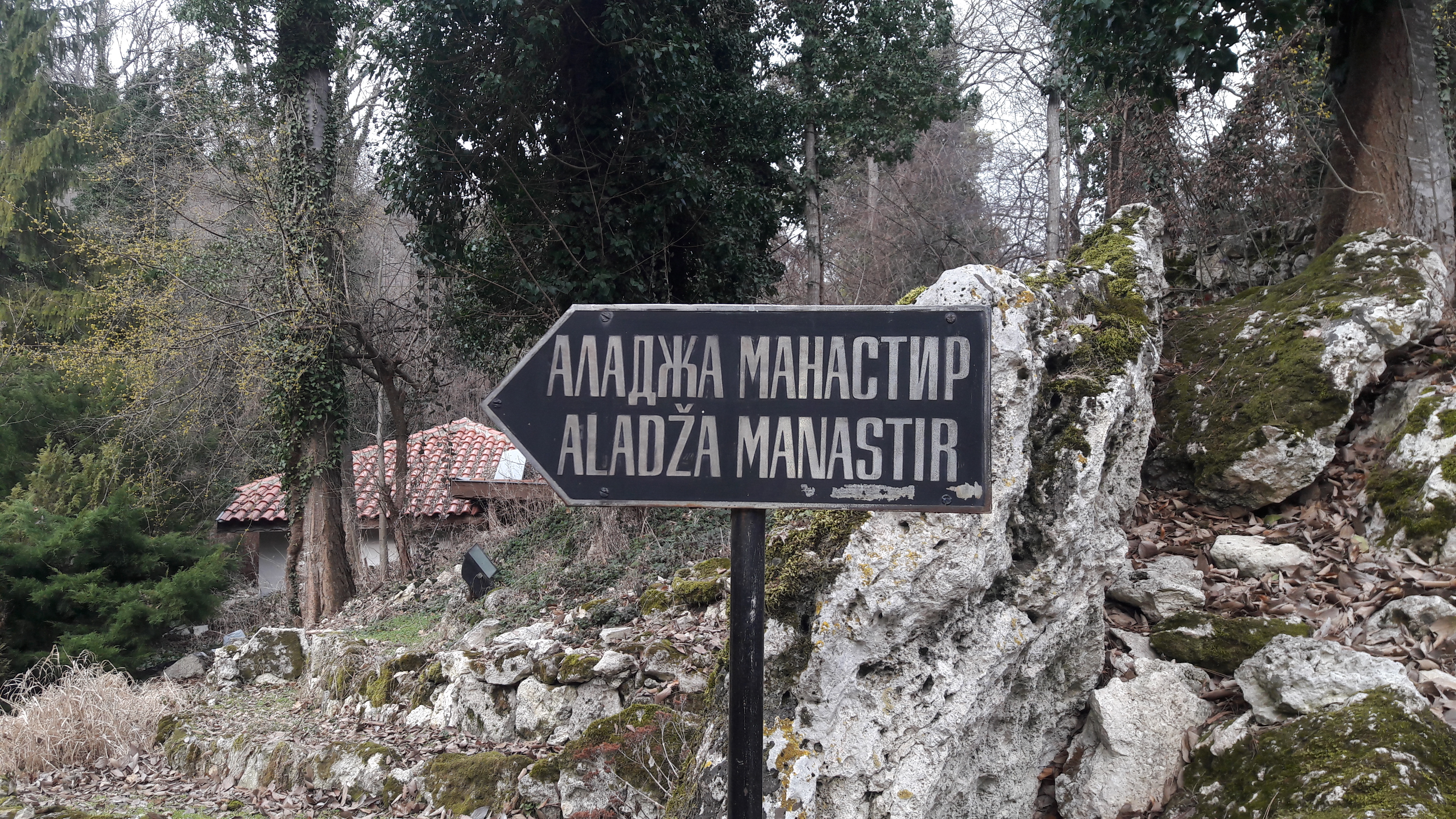 Любословие на път и туризъм… Аладжа манастир