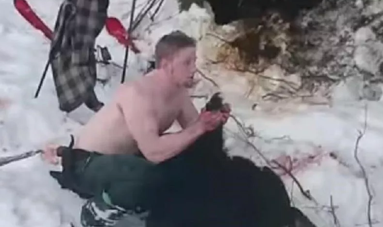 Брутално убийство на мечка и нейните малки, докато спят зимен сън (Видео)