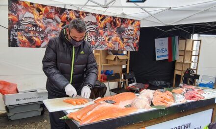 Търговски рибен фестивал се провежда днес и утре в София