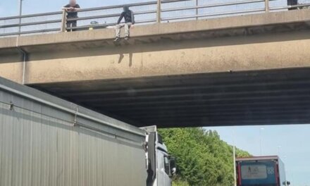 Водач на камион спря под мост на магистрала, за да попречи на самоубиец да скочи от него