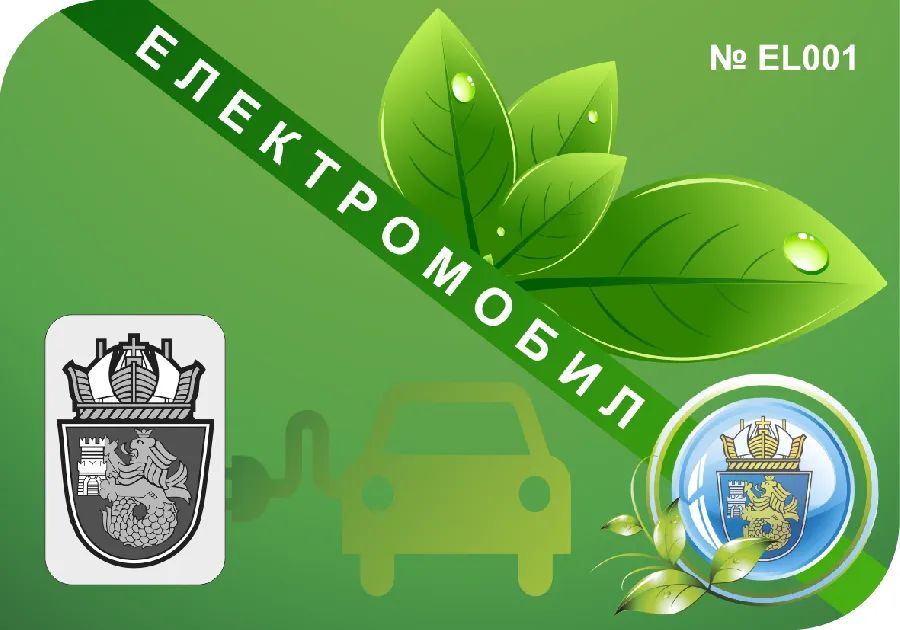 Пет причини, които бавят навлизането на електромобили в България