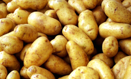 Спряха евро субсидиите на 2300 производители на картофи