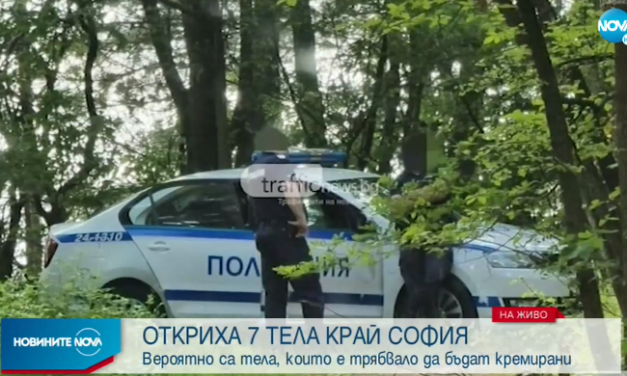 Погребален агент задържан във връзка с тела заровени в гора до София