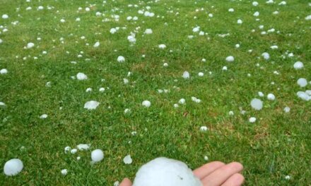 Градушка с големината на тенис топка причини щети в твърдишките села Сборище и Оризари