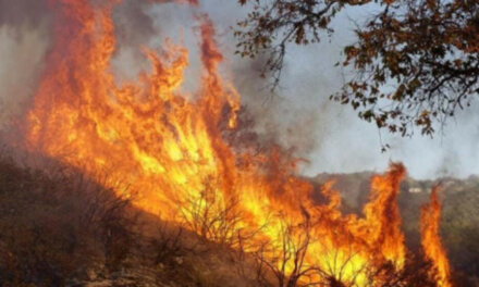 Заради пожари е обявено бедствено положение в общините Харманли, Любимец и Свиленград